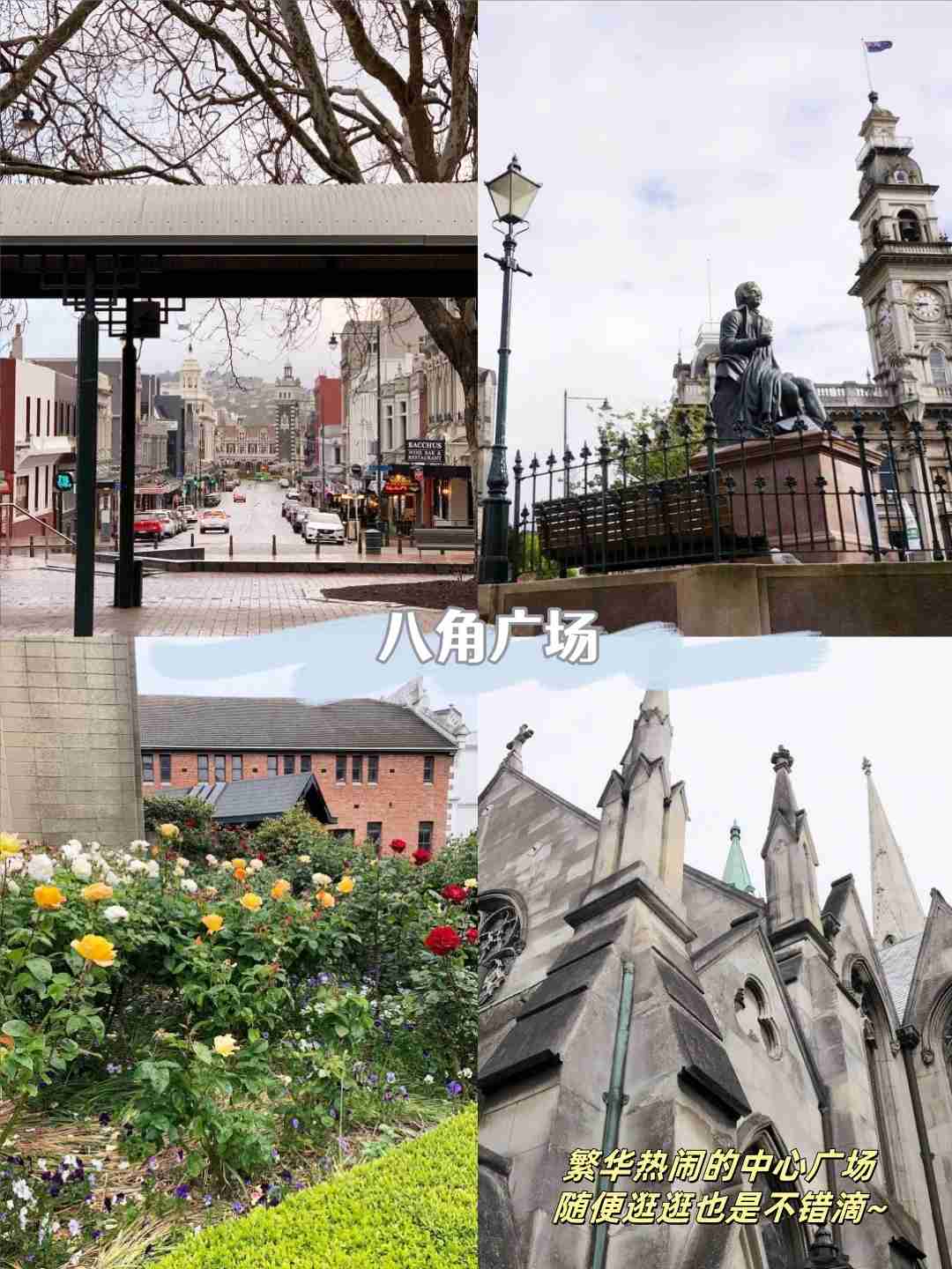 Dunedin Travel Guide: Local Tips and Care Like a Personal Nanny
