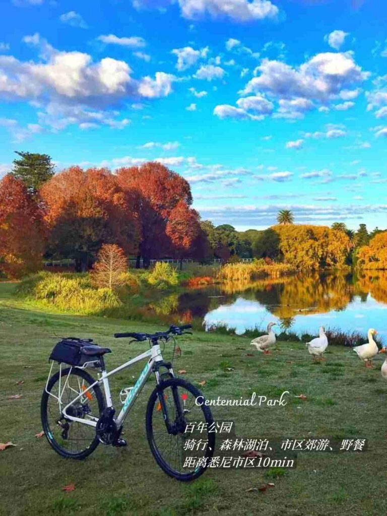 シドニーで4～5ヶ月の紅葉シーズンを体験しよう：風景豊かな秋の驚き