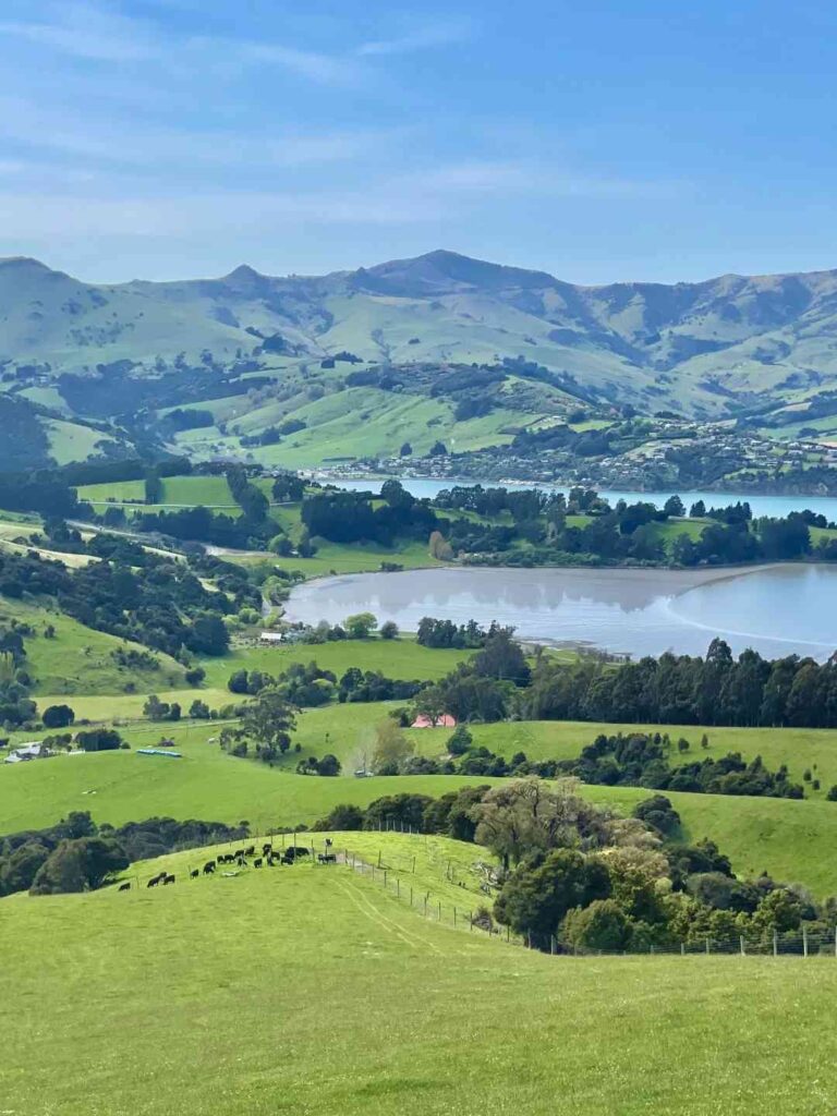 Experience the Natural Beauty: Why New Zealand’s Sunshine Needs No Filter Live