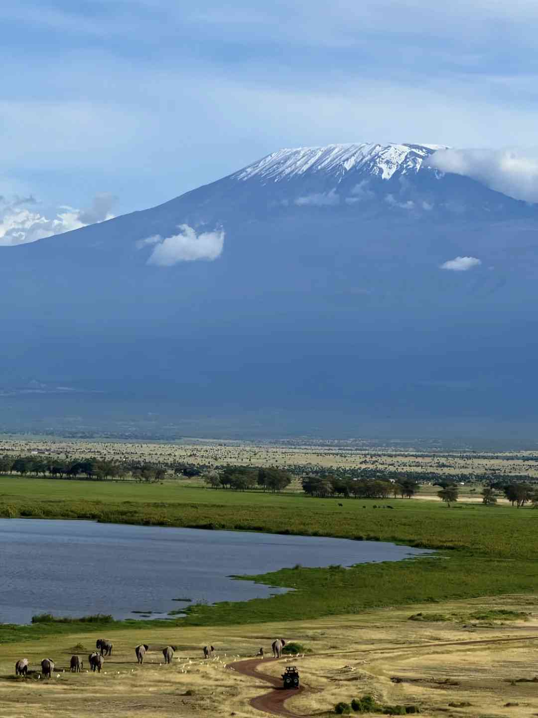 استكشف حديقة نيروبي الوطنية: رحلات سفafari مشي مع قطعان الفيلة المهيبة 🐘🌟