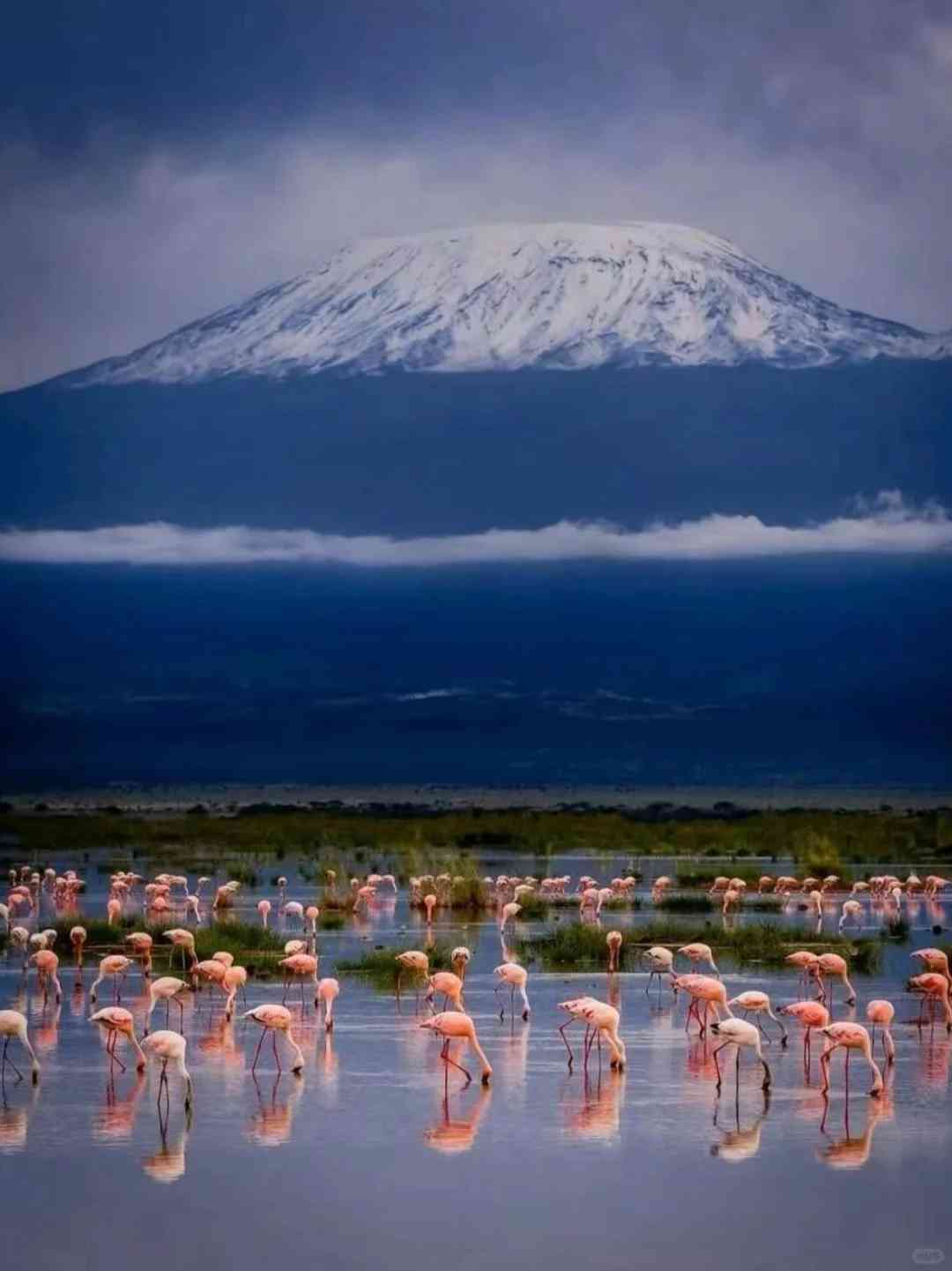 Explorando Amboseli em seu Safári no Quênia: Dicas Essenciais e Principais Destaques do Passeio de um Dia