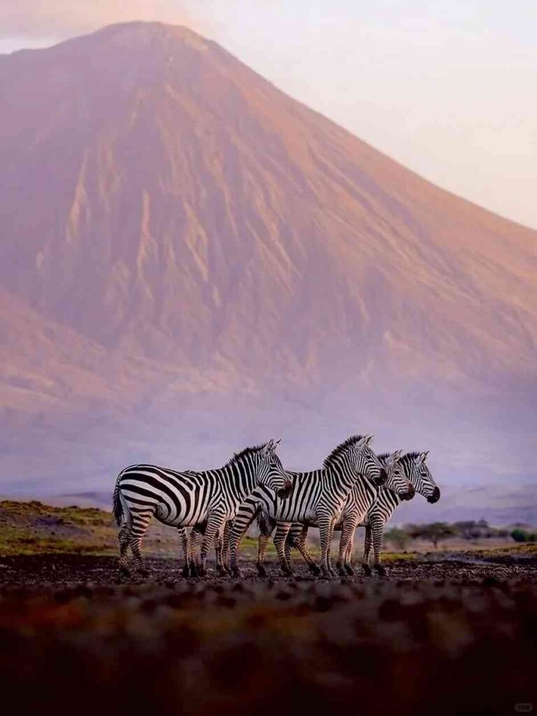 Explore Animal Migration: Witness the Earth’s Most Breathtaking Survival Journey