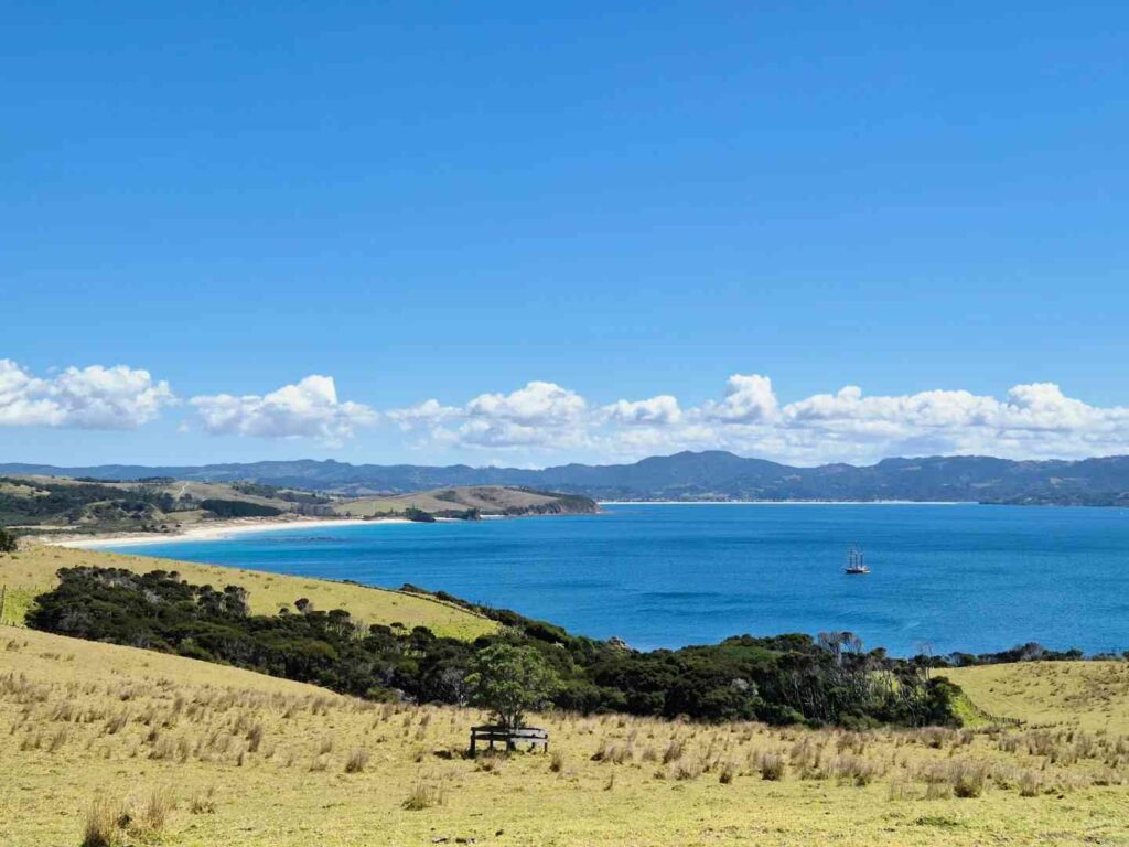 Explorer les sentiers de randonnée d'Auckland : Aventure au parc régional de Tawharanui