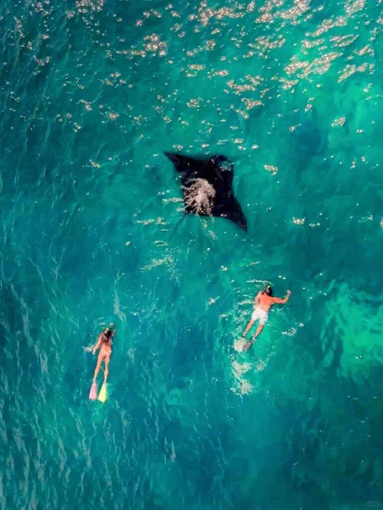 Explore Bali et Komodo : 4J3N Aventure exclusive d'île en île loin des foules