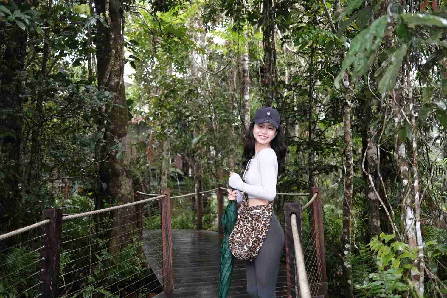 Explore Cairns & Kuranda Rainforest: Scenic Skyrail Experience🌴🚡