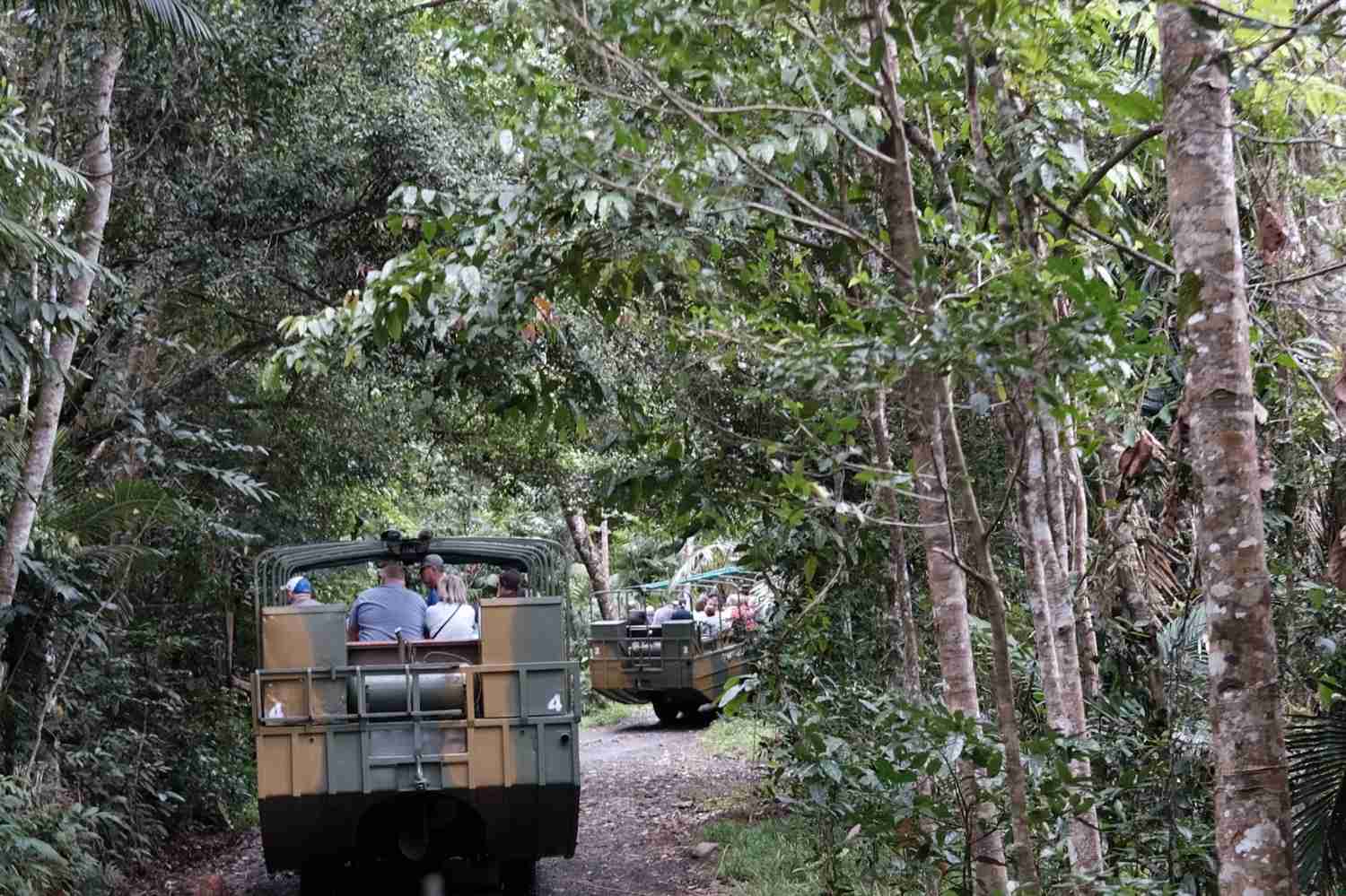 Explore Cairns & Kuranda Rainforest: Scenic Skyrail Experience🌴🚡