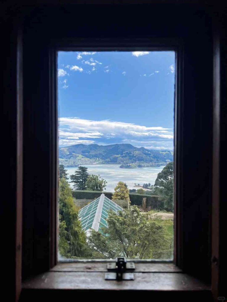 Explore Dunedin, Nova Zelândia: Principais Atrações e Pequenos Tesouros Ocultos