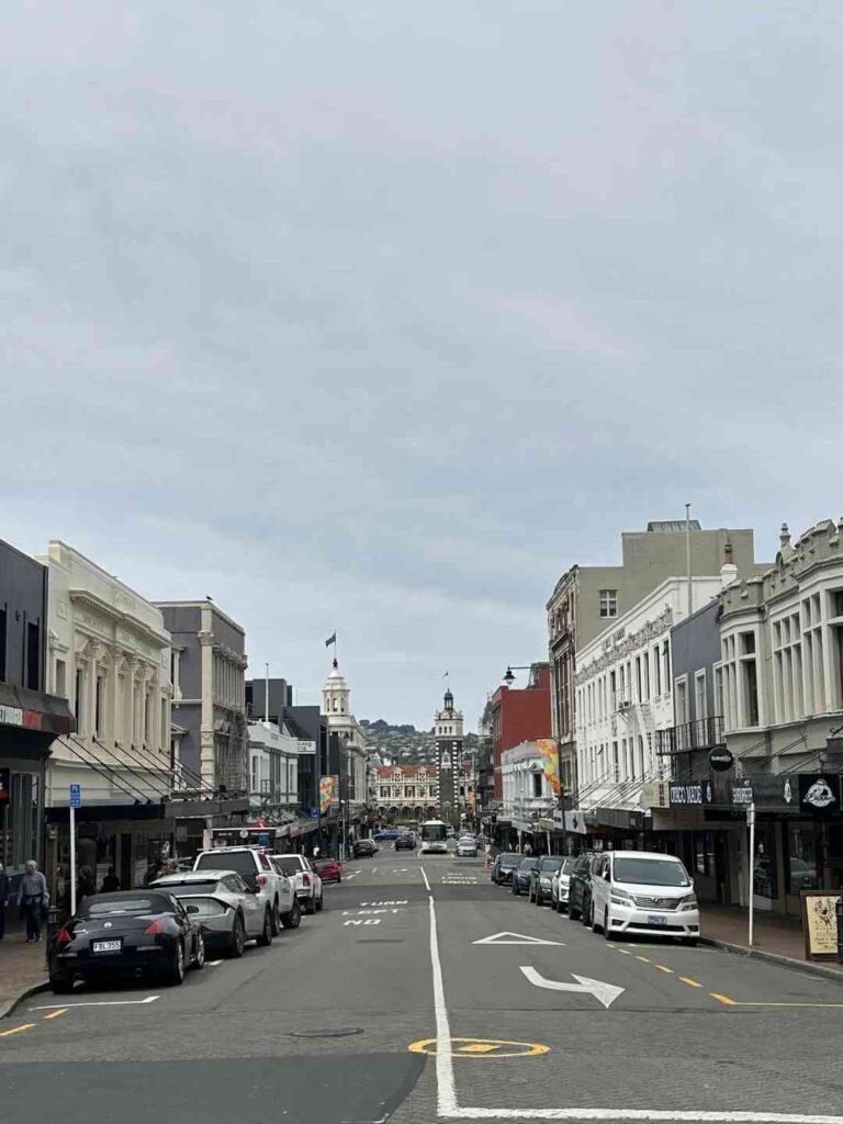 Explore Dunedin: Seu Guia para a Escócia do Hemisfério Sul