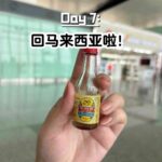 Erkunden Sie die vietnamesische Halong-Bucht: Ein malerisches Meeresabenteuer wie Guilin