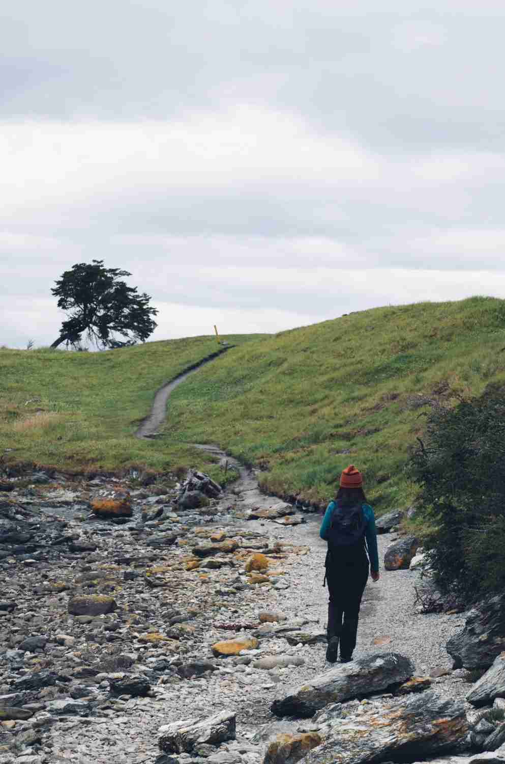 Explorer les sentiers de randonnée dans le parc national Tierra del Fuego, Ushuaia, Argentine