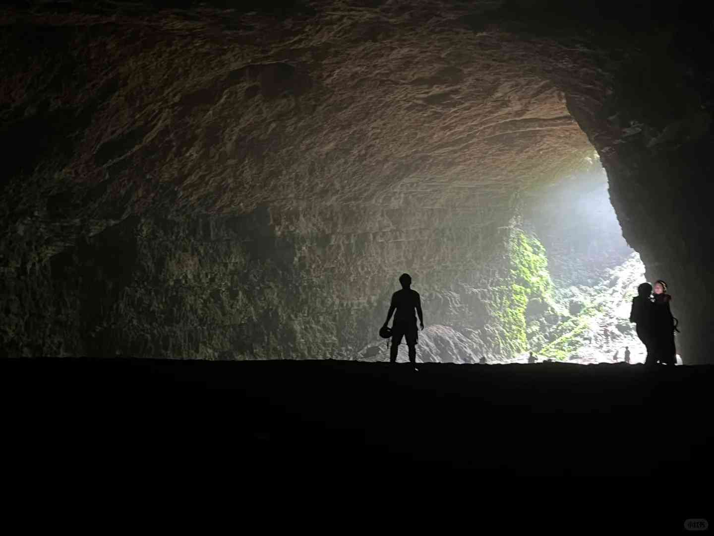 Explore Jomblang Cave in Yogyakarta: A Unique Underground Adventure Experience