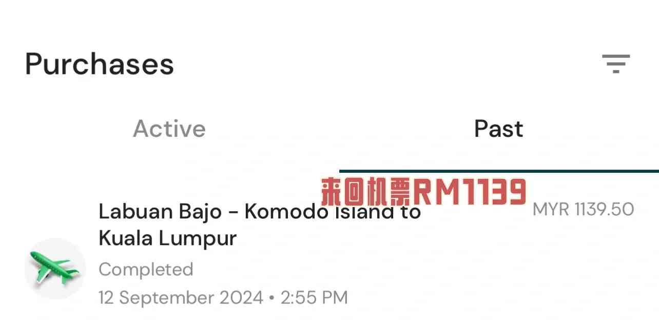 Explore Komodo Island Directly from Malaysia: Affordable Travel Packages Available