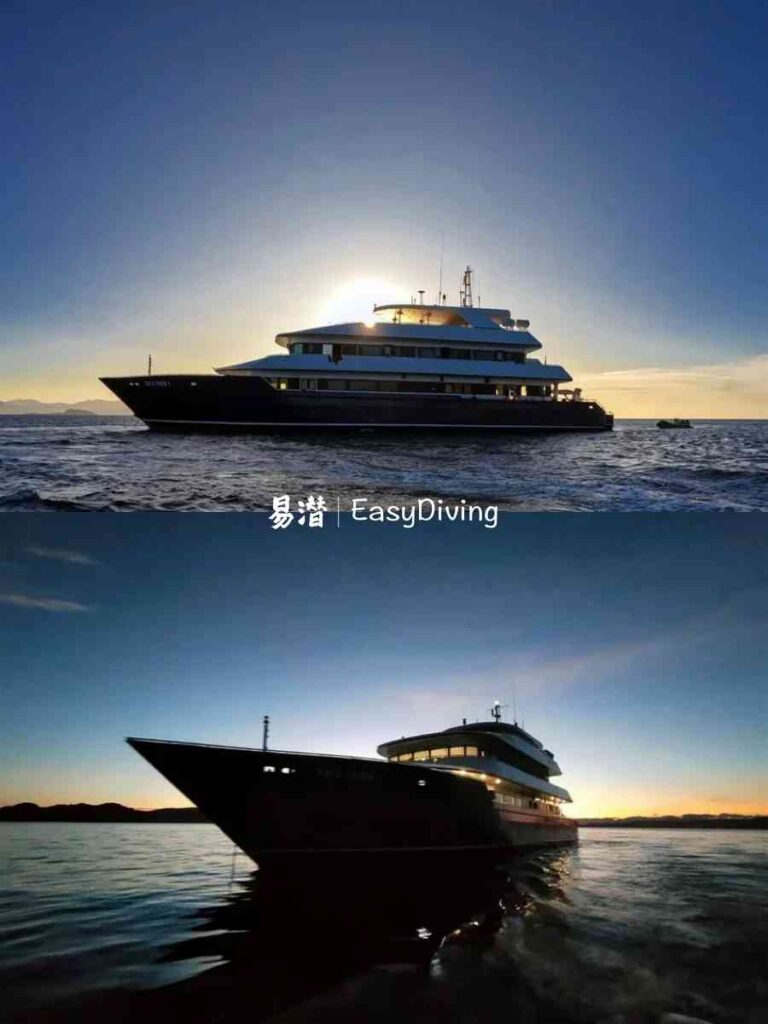 Explore Komodo Waters with Easy Diving Indonesia Liveaboard Adventures