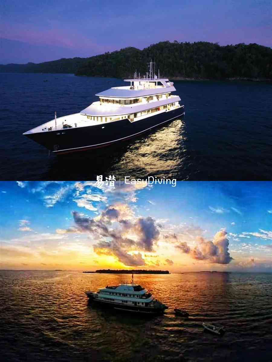 Easy Diving Indonesia Liveaboard Adventuresでコモドの水域を探索