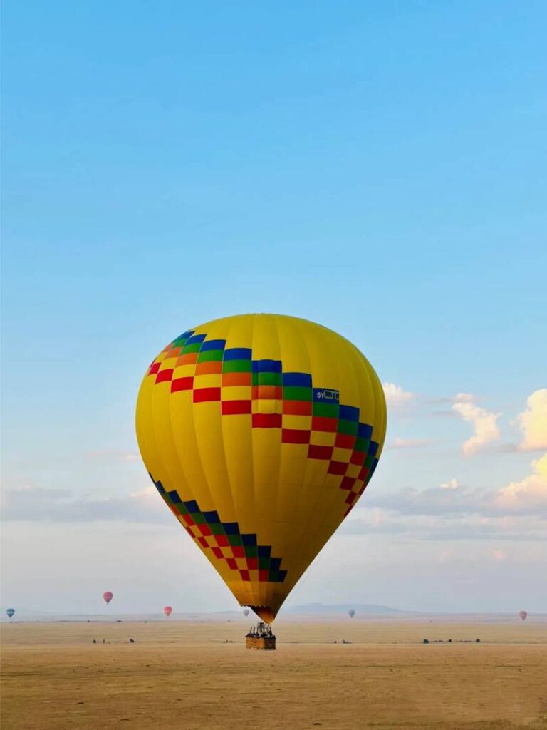 Explorez le parc national de Maasai Mara : L'ultime aventure safari vous attend