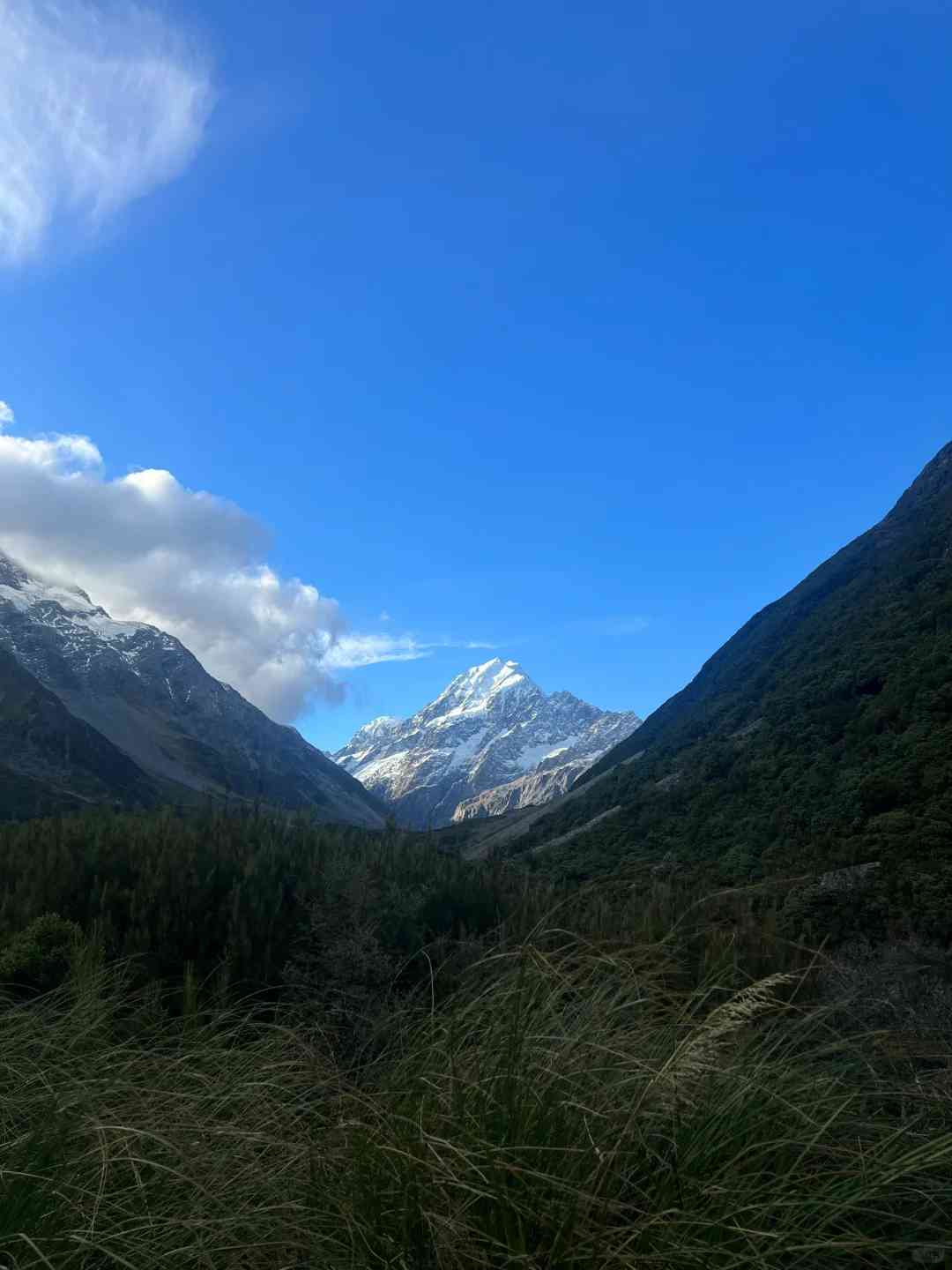 Explore Mt Cook: Activate Vacation Mode with a Non-Self-Driving Work Pause