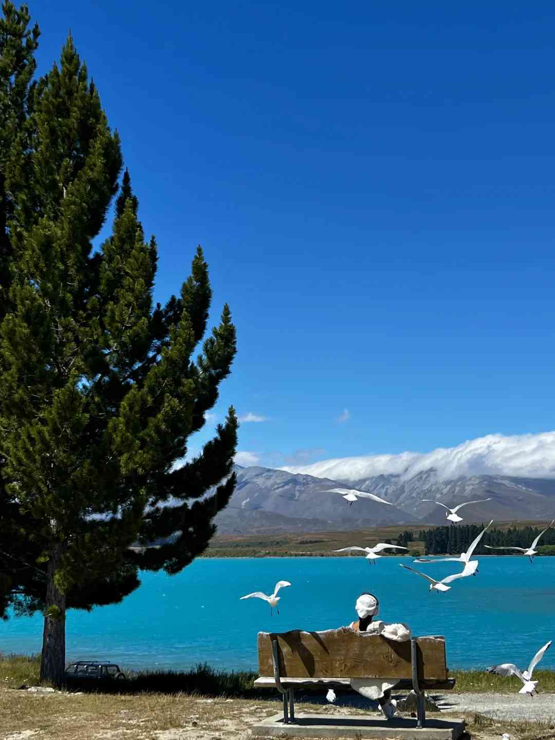 Explore New Zealand's Nature: Breathe Fresh Air in Open Spaces 🌳🌈