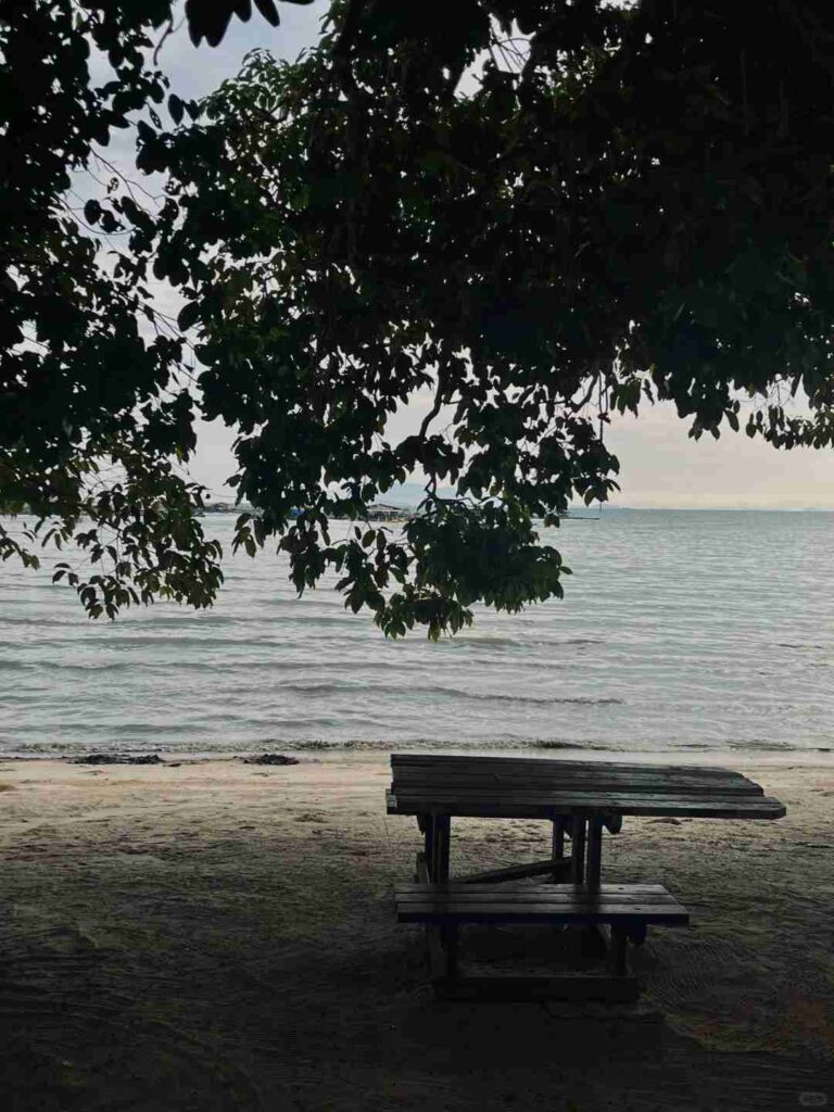 Explore Penang National Park: Malaysia’s Hidden Ecological Gem