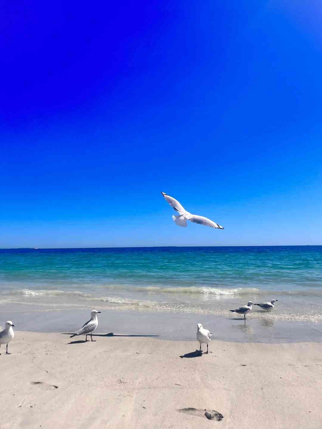 Explore Perth on a Shoestring: Complete 7k Budget Travel Guide