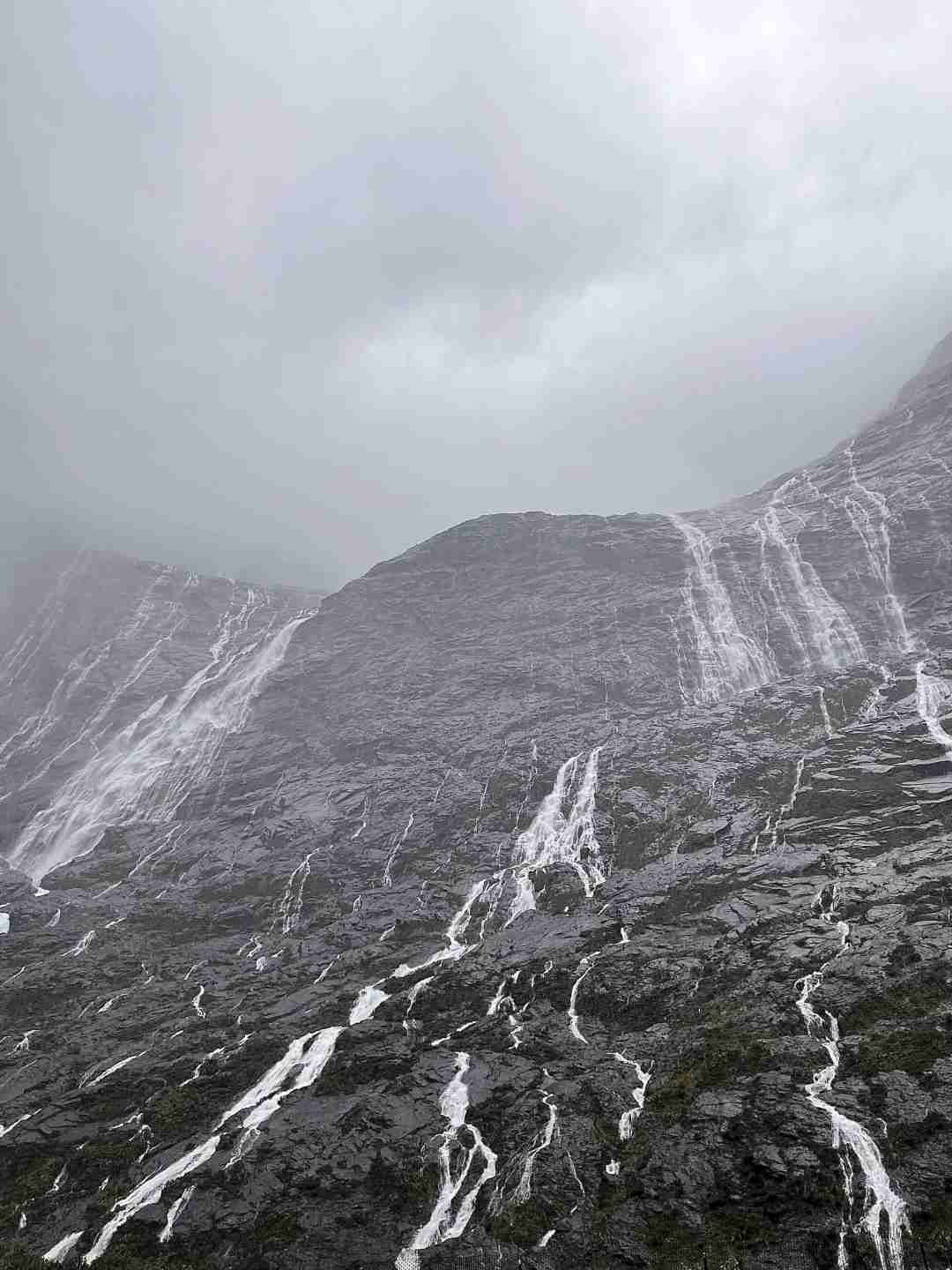Explore Queenstown's Stunning Fjords on a Rainy Day Adventure伞