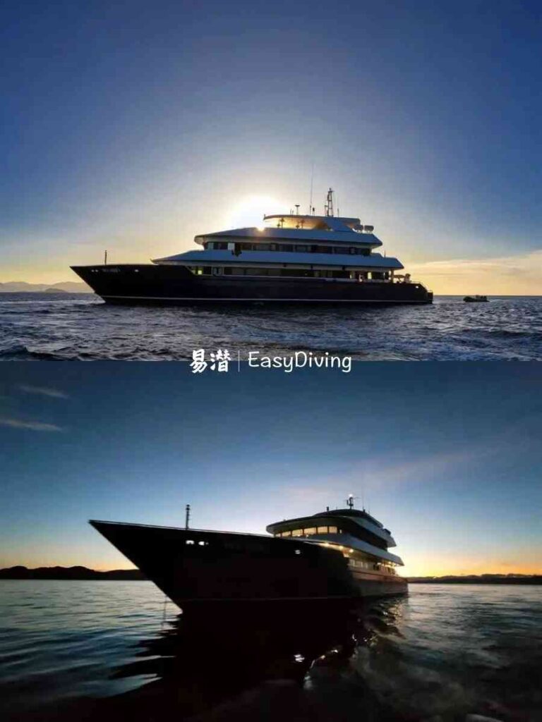 インドネシアのダイブクルーズでRaja Ampatを探索:鋼製船体船での簡単なダイビング
