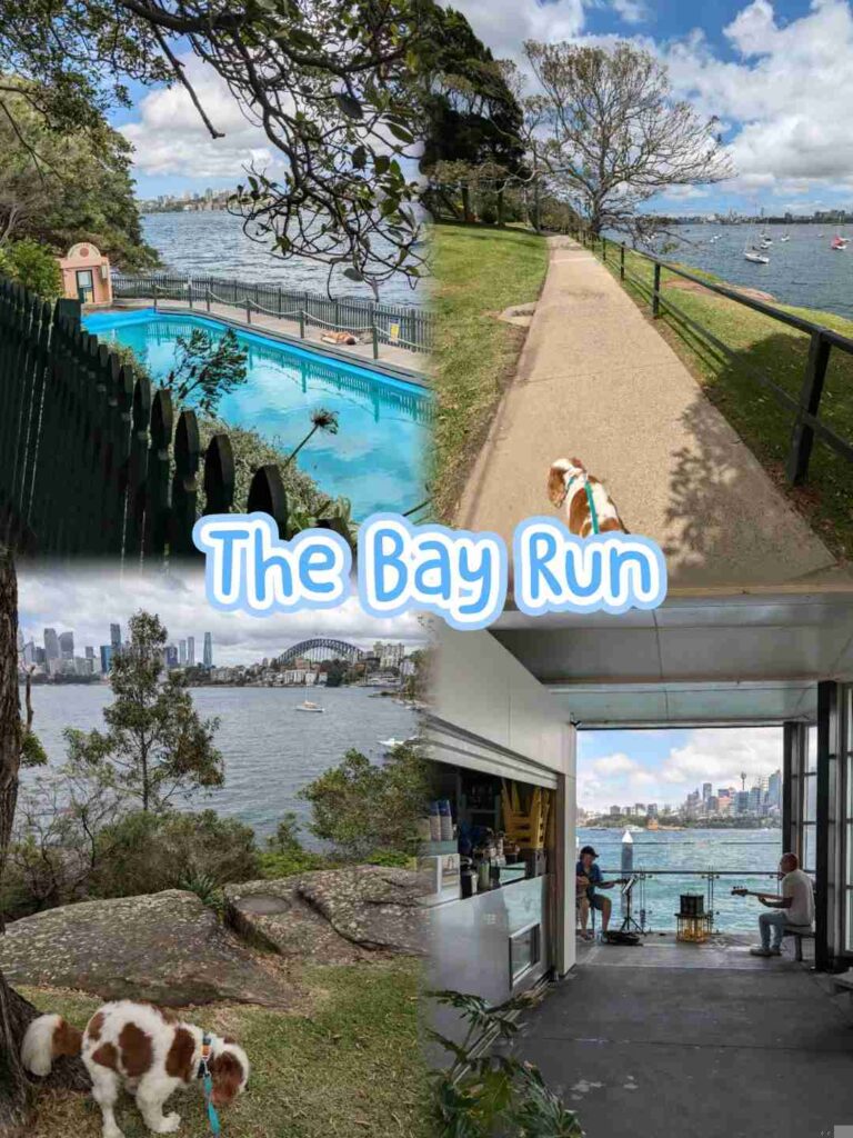 Explore Sydney’s Hidden Gems: Weekly Hiking Tours Every Wednesday & Sunday