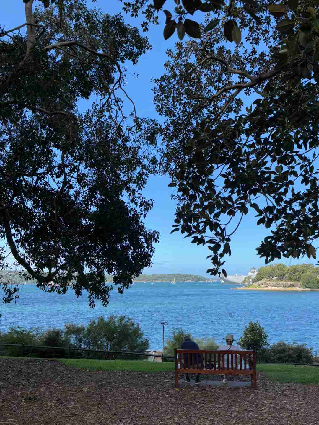 Découvrez les trésors cachés de Sydney lors de votre aventure du deuxième jour