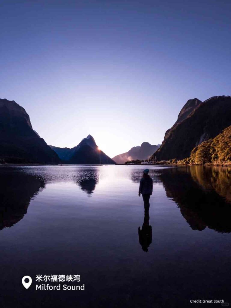 Explorer des paysages uniques en Nouvelle-Zélande : pas de substituts domestiques disponibles.