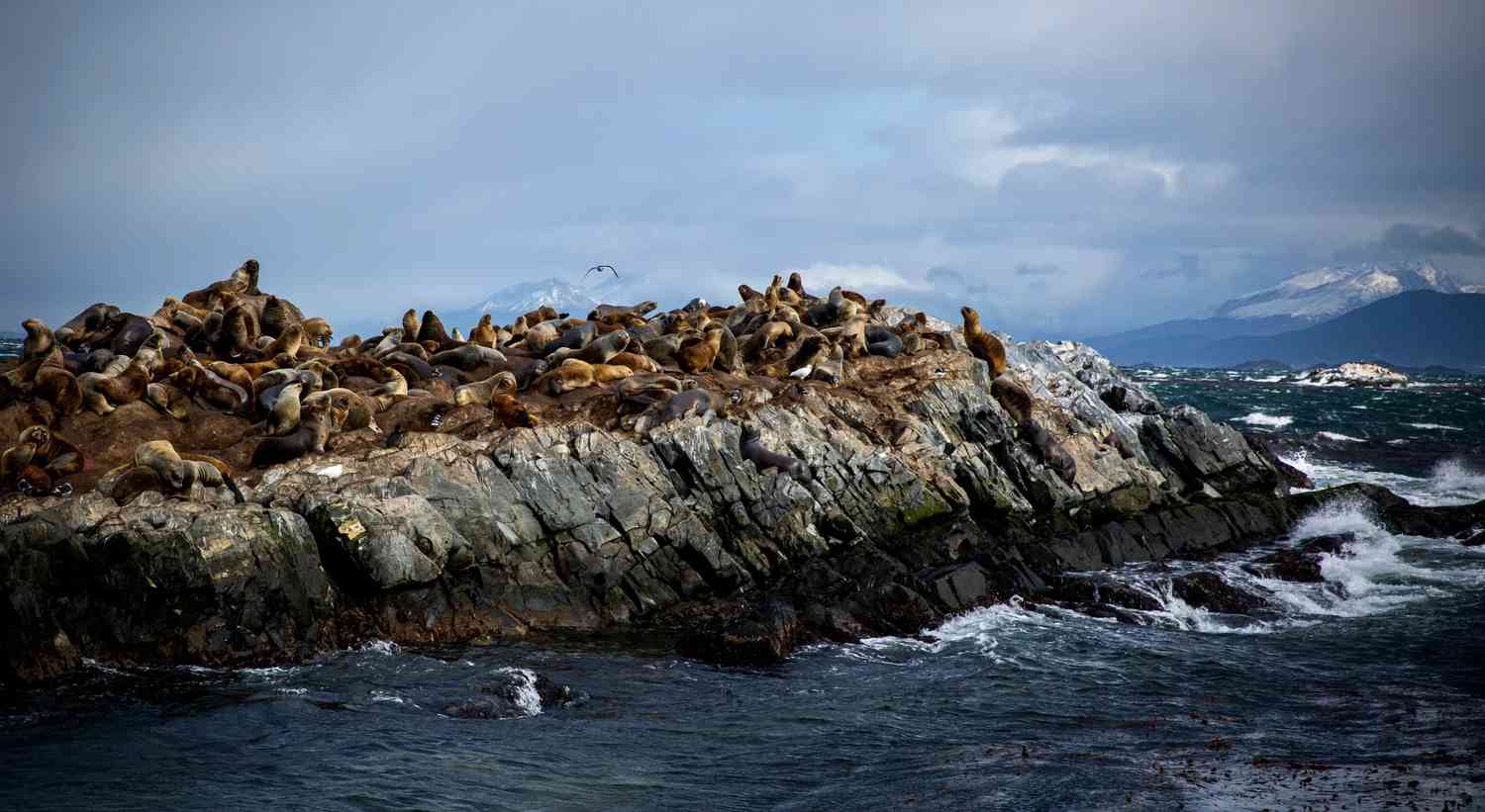 Entdecke Ushuaia in einem Tag: Maximiere deine 24-Stunden-Erlebnisreise in Argentinien 🇦🇷