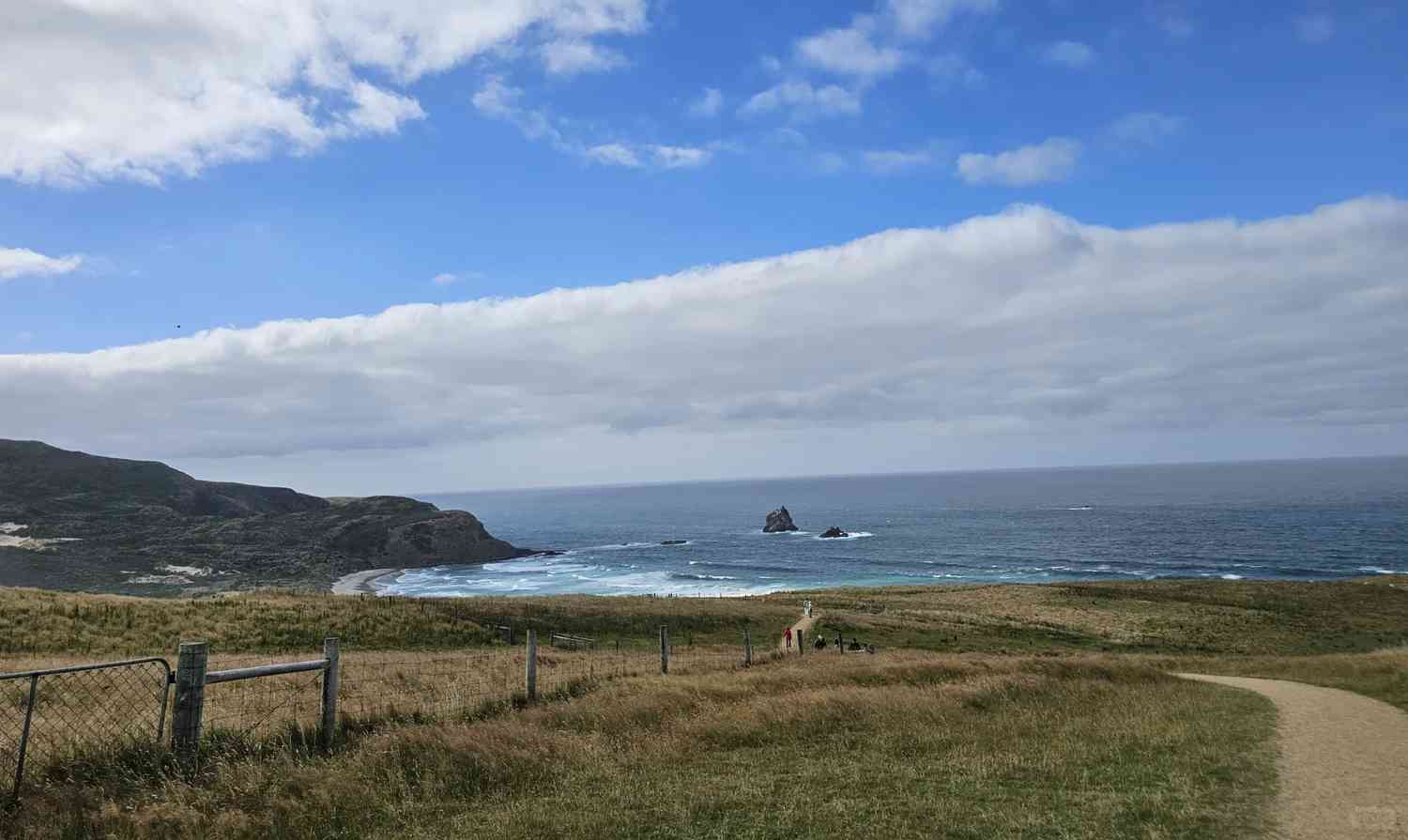 Explore the Breathtaking Views of Sandfly Bay, Dunedin, New Zealand