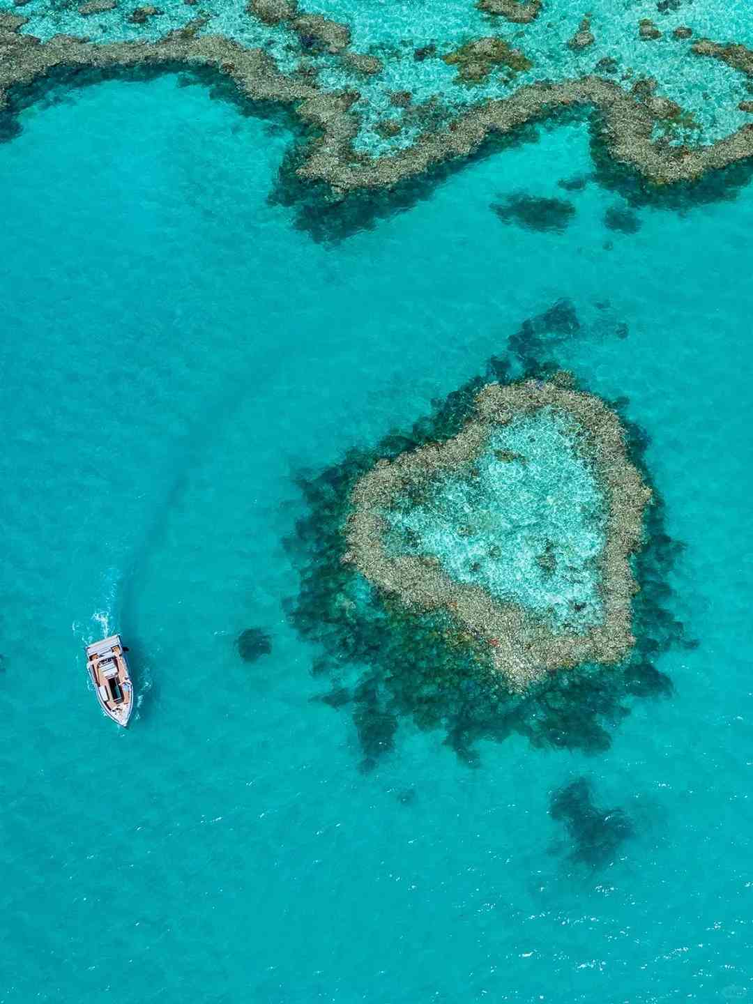 Explorer le Réseau Corallien Extraordinairement Magnifique : Une Aventure Familiale en Australie