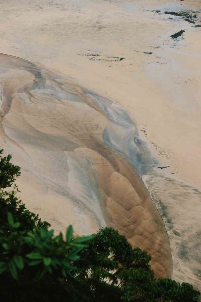 Explore the Tropical Rainforest: Unforgettable Adventure Awaits!