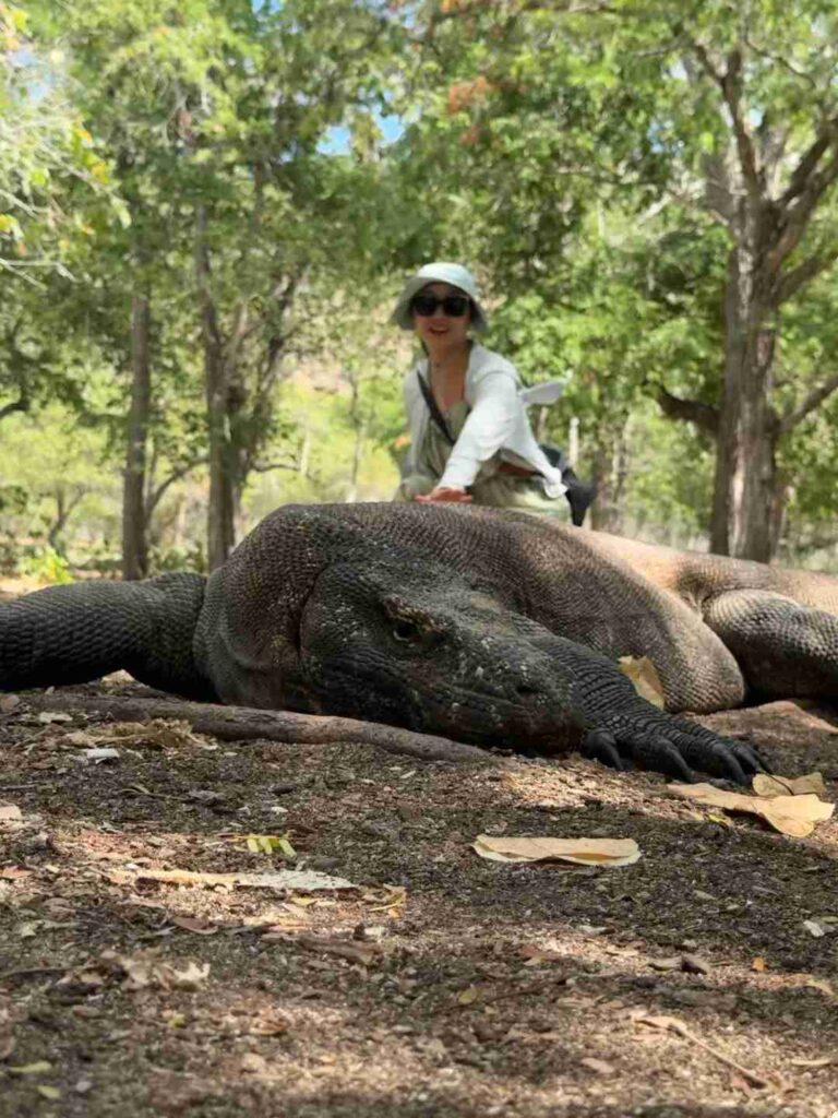 Enfin touché le légendaire dragon de Komodo : une rencontre 😝 inoubliable avec la faune