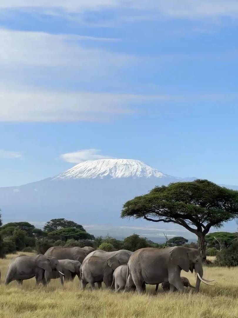 Harsh Truth About Kenya: Reality vs. Online Perception You Need to Know