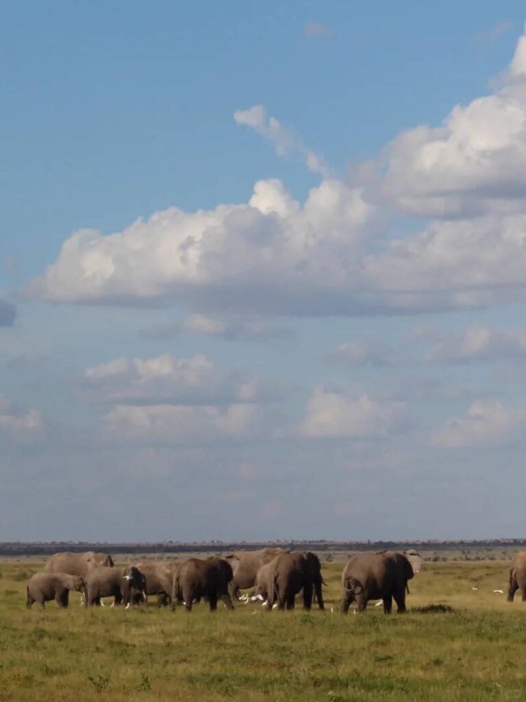 Ehrliche Tipps für Reisen mit kleinem Budget in Kenia: Sparen Sie jetzt Geld!