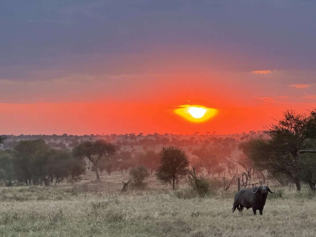 How Traveling to Africa Healed My Chronic Anxiety: A Life-Changing Journey