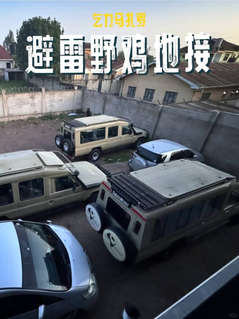 信頼できる登山会社の選び方 - 専門家の安全に関するアドバイスと注意すべき点