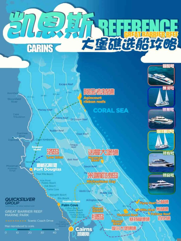 How to Choose the Perfect Sailing Boat in Cairns for Your Next Adventure 🚢