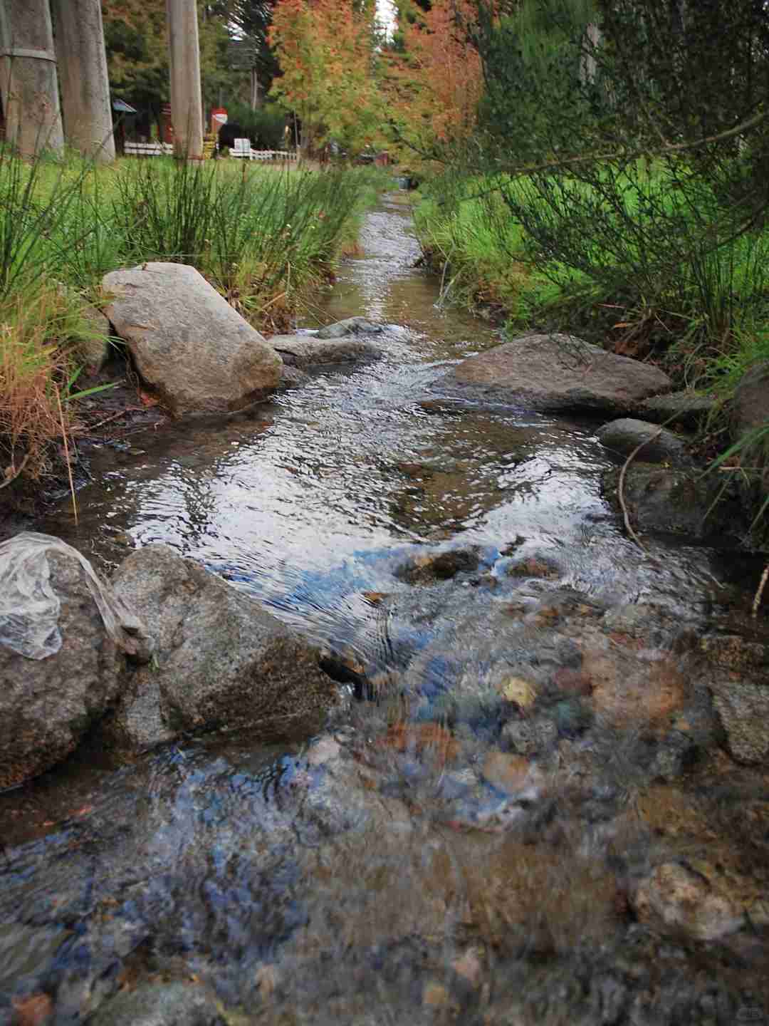 Como Experienciar a Nostalgia Alemã em Villages Suíços com Orçamento Limitado - Maio de 2010