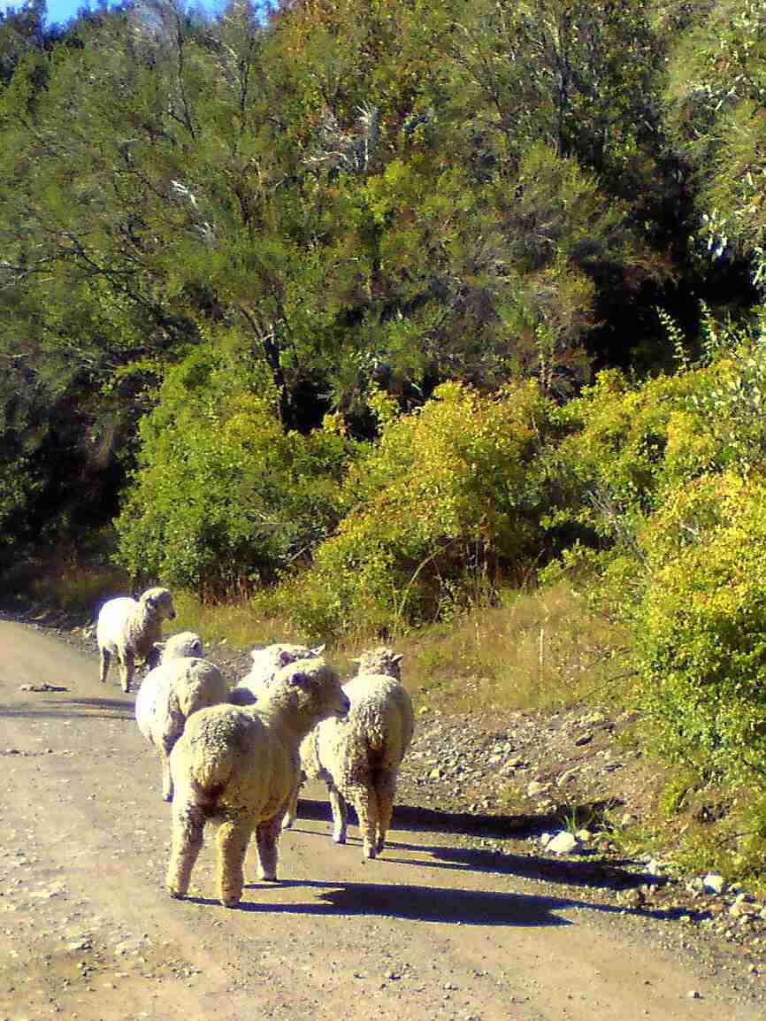 Como Experienciar a Nostalgia Alemã em Villages Suíços com Orçamento Limitado - Maio de 2010