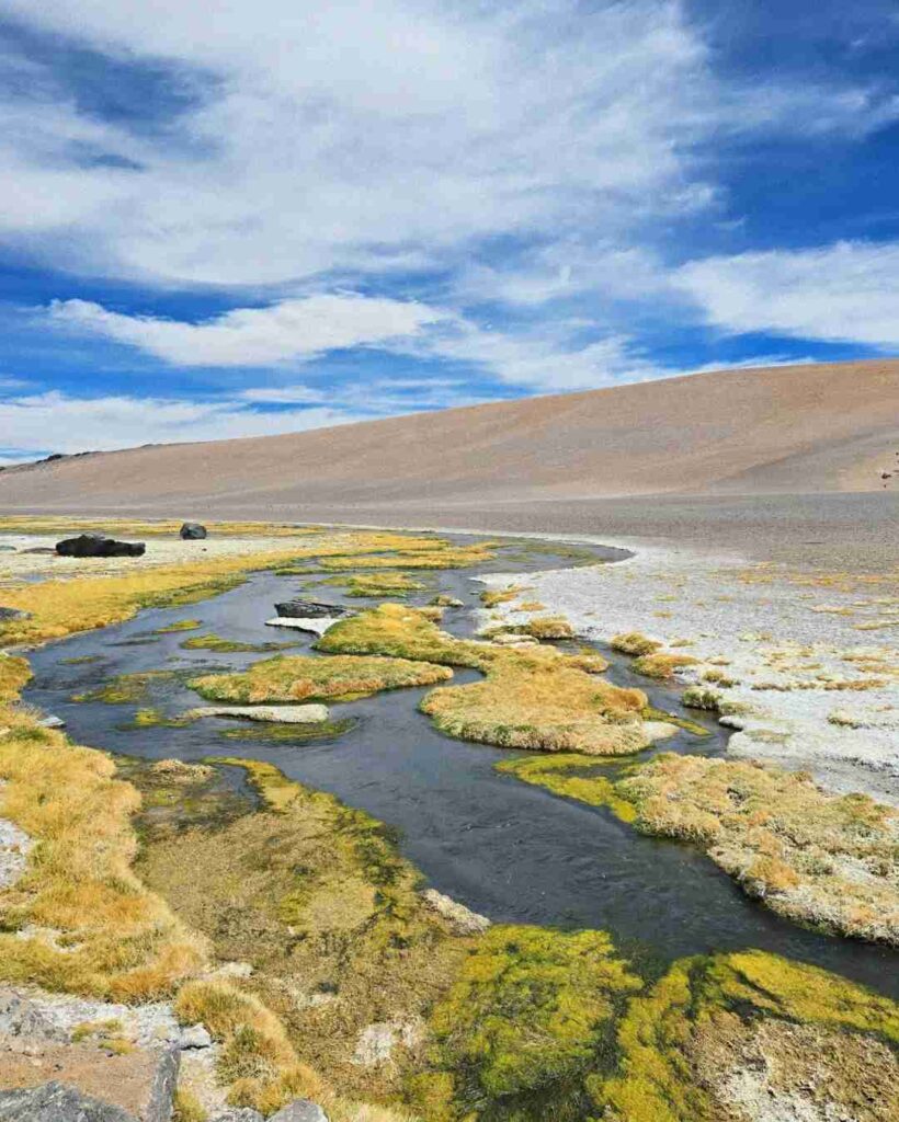 How to Explore Atacama Desert Wetlands on a Budget: Self-Drive Tips
