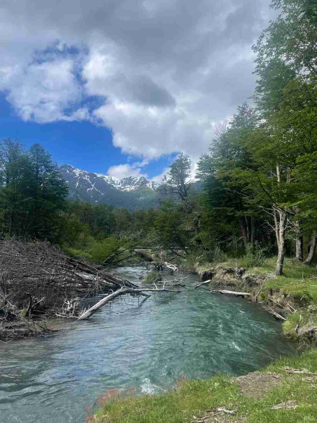 How to Explore Bariloche, Argentina on Foot in Spring Under $500
