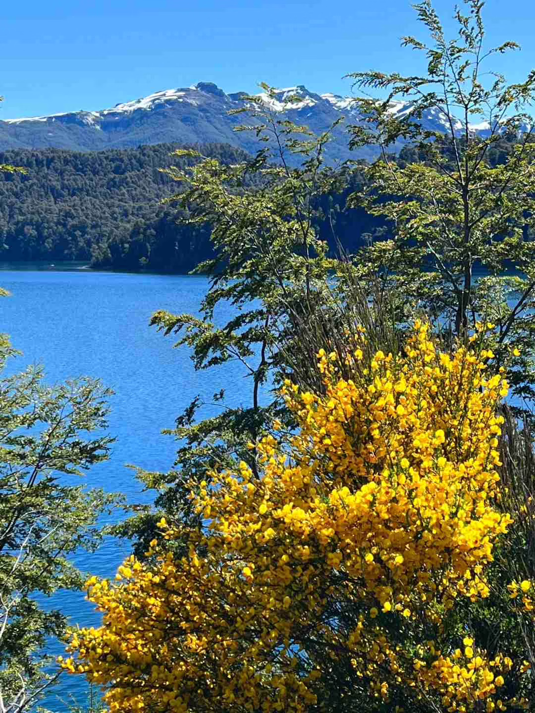 Como Explorar a História da Segunda Guerra Mundial em Bariloche com Orçamento Restrito na Primavera?