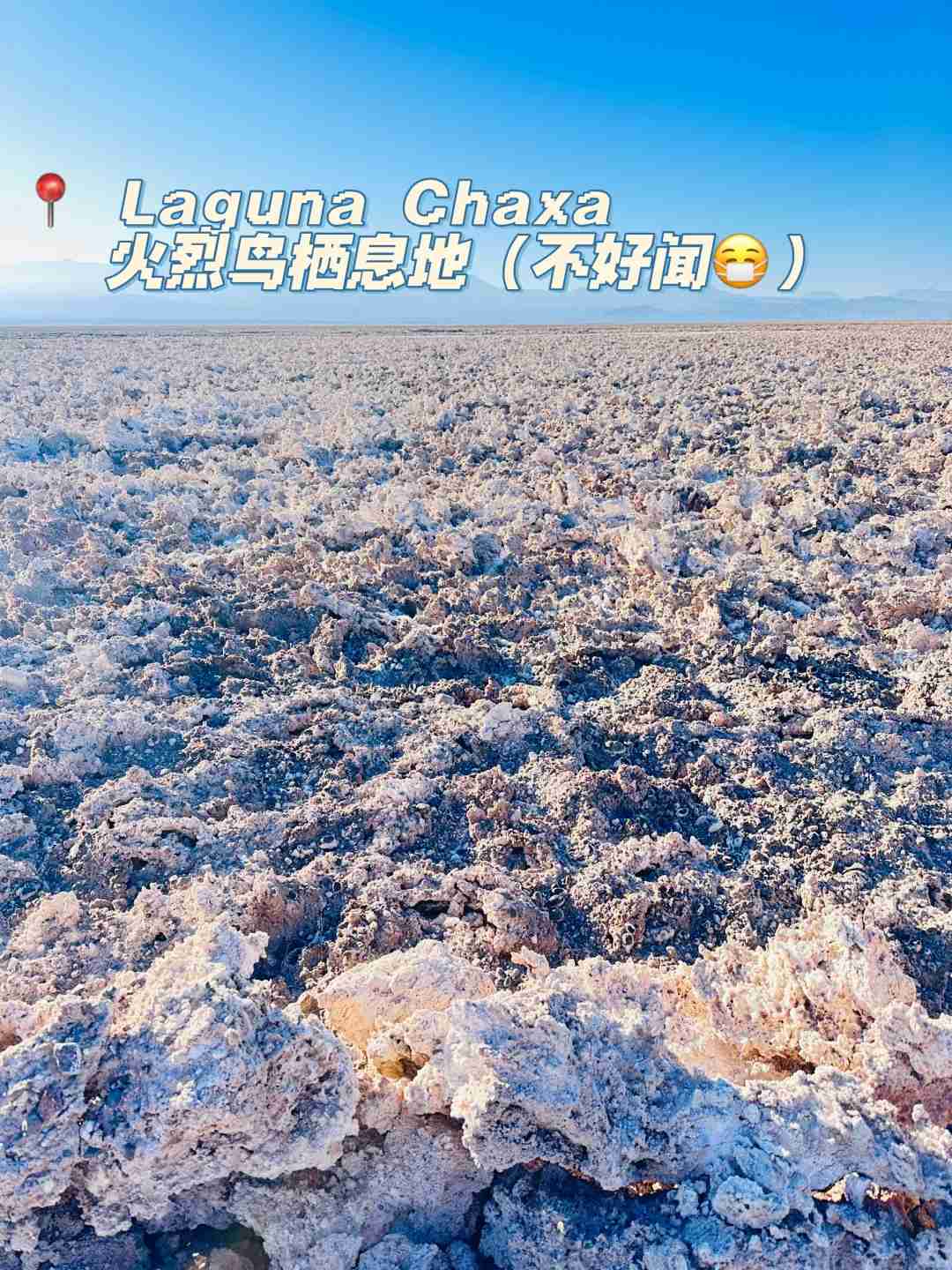 How to Explore Chile's Atacama, the World's Driest Place, in 3 Days on a Budget