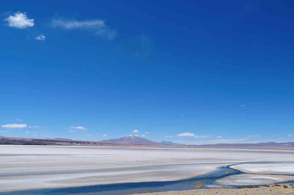 How to Explore Tarapacá Salt Flat: Mysterious Chile Atacama Desert Guide