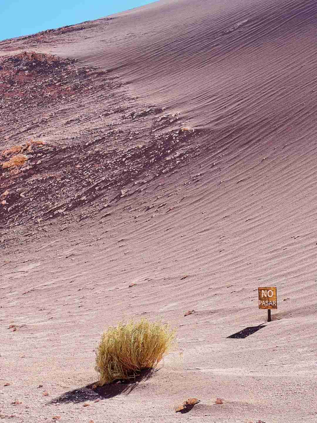 How to Explore the Atacama Desert on a Budget: Best Tips & Route Guide
