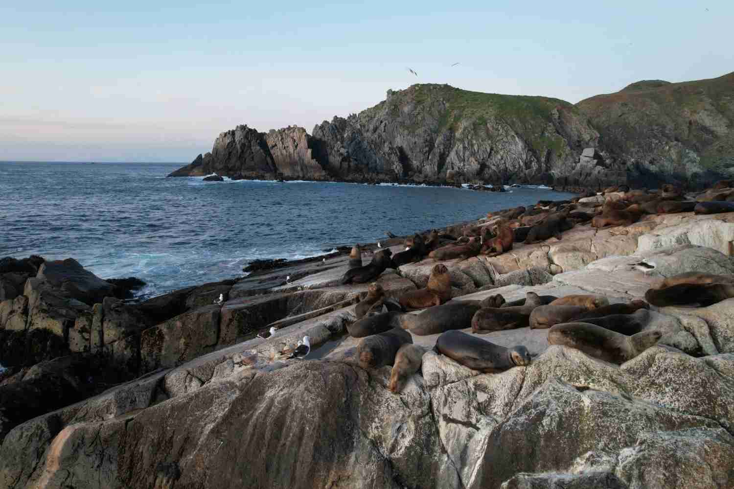 How to Explore the Chilean Coastline on a Budget: Best Routes & Hidden Gems