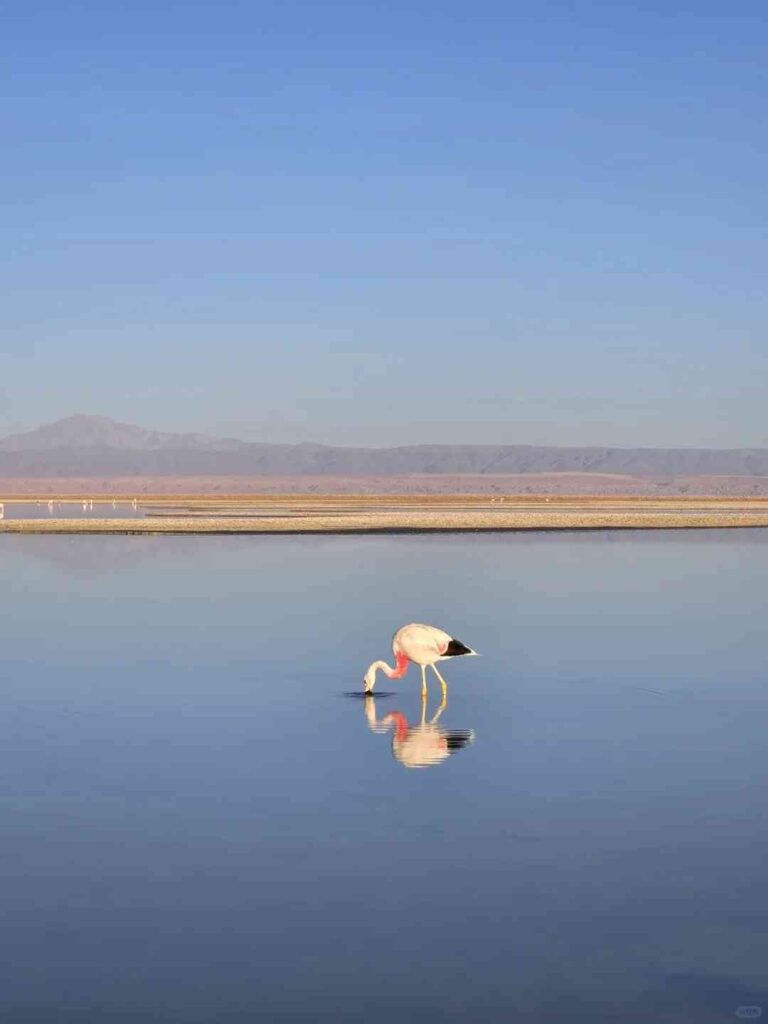 How to Plan a 4 Days 3 Nights Atacama Budget Trip: Best Itinerary & Cost Saving Tips