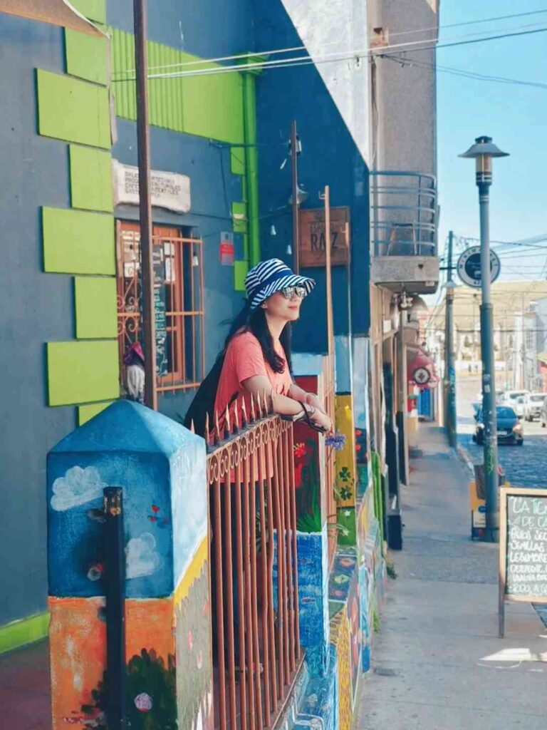 How to Plan a Budget 23-Day South America & Antarctica Trip: Valparaiso Day 7 Guide