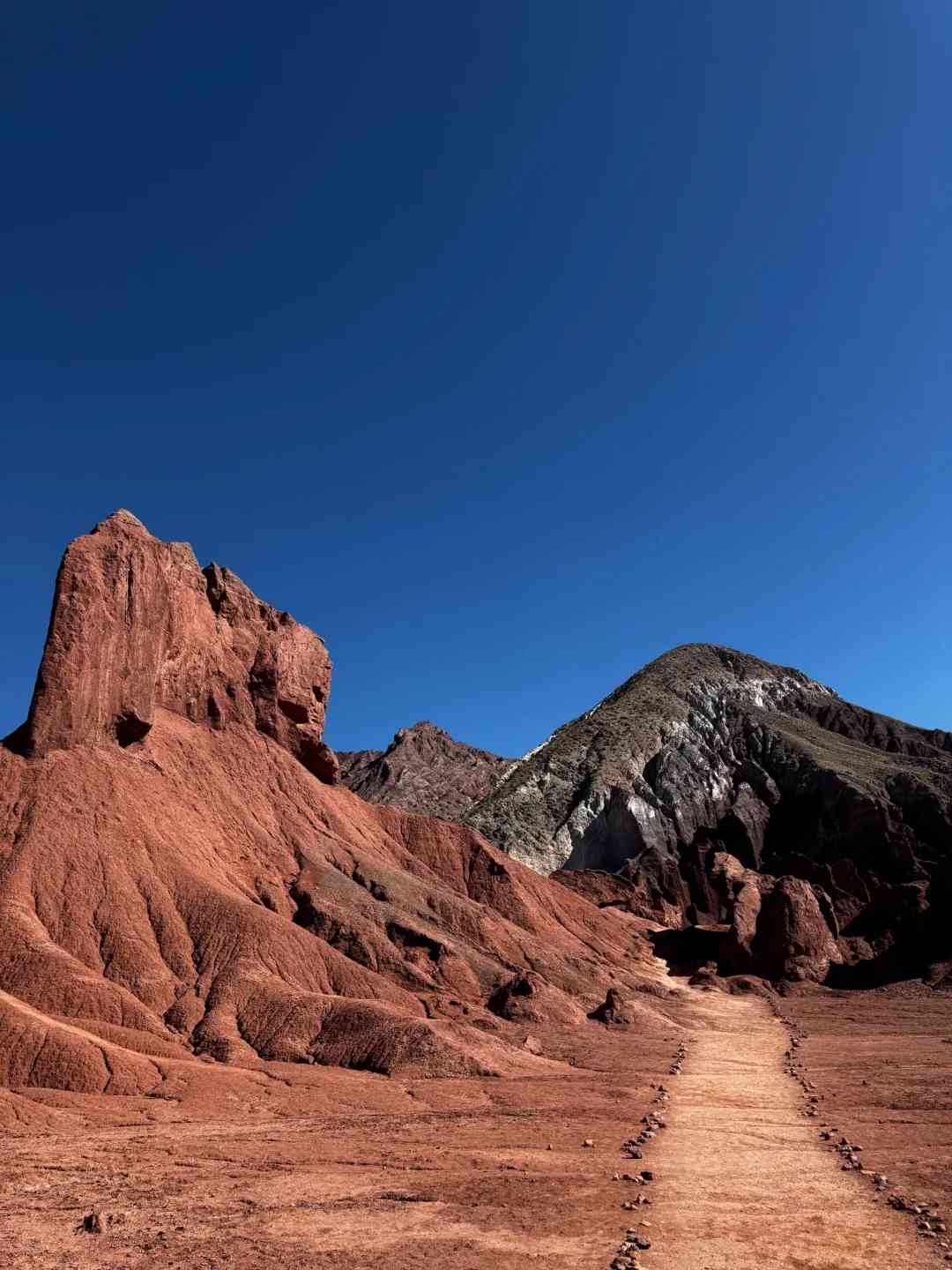 How to Plan a Budget-Friendly Stargazing and Flamingo Watching Trip in Chile's Atacama Desert
